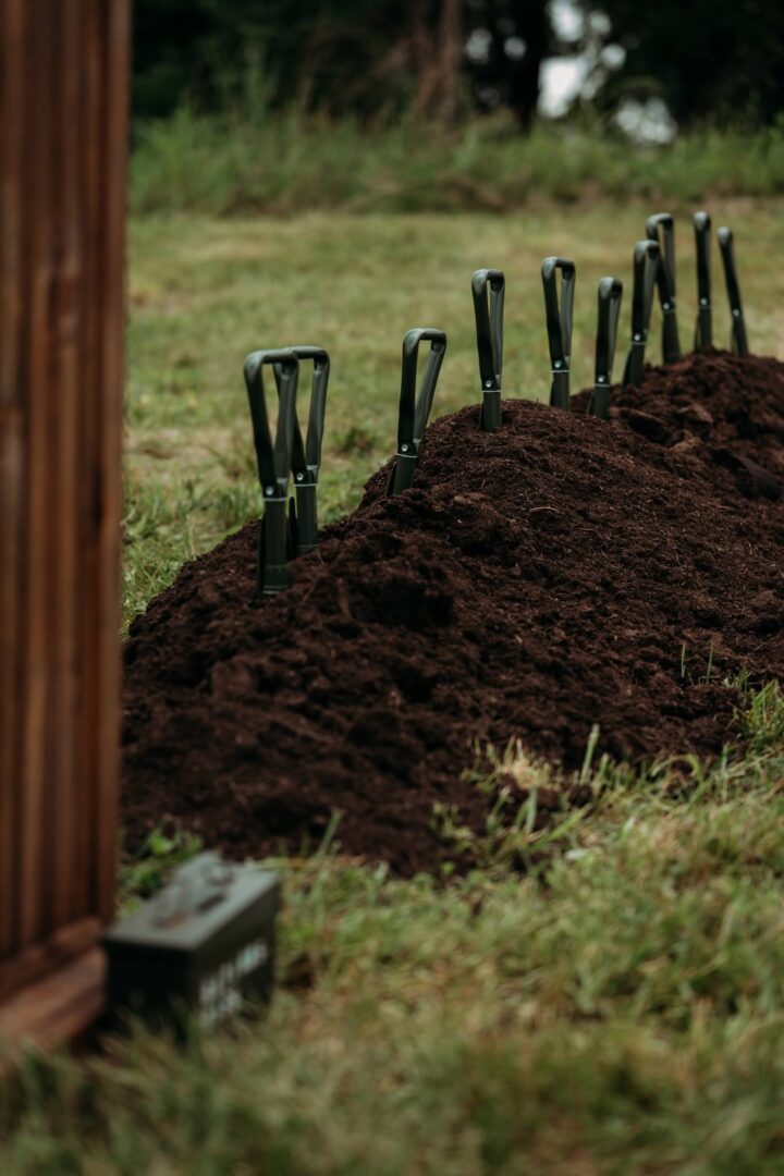 A photograpgh depicting a line of shovels in mounds of soil